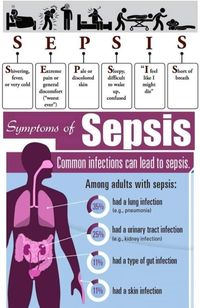 Sepsis indicators | Medical school inspiration, Medical school essentials, Nursing school survival