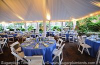 Another lovely taffeta tent liner.
