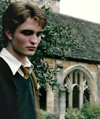 Too Shy To Tell You (Cedric Diggory x Reader) - This Was A Mistake - Wattpad