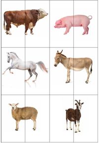 Puzzel thema boerderij. Printen en plastificeren