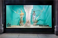 symmetrical window display – Google-haku
