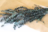 Beautiful preserved baby spiral eucalyptus in dyed jade. Add preserved and silk flowers and greenery into your floral crown.