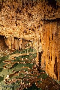 ✯ Lilly Pad Room - Onondaga Cave, Missouri