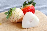 プレゼントにもおすすめ!佐賀県産のプレミアムな白いちご『天使のいちご』 | おうちごはん