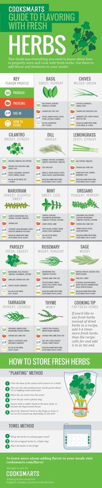 How to properly store and cook with fresh herbs via @Cook Smarts #herbs #flavor