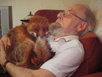 How I feel about how animals should be loved! This epitomises my feelings. Of course, we should love people even more, but the one will follow on from the other. There are probably exceptions, but they would be rare.