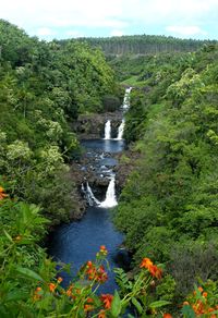 Umauma Falls viewing & garden walk free. stop at visitor center first. 31-313 Old Mamalahoa Highway Hakalau, Hawaii 96710