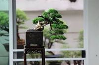 KENGAI - 1