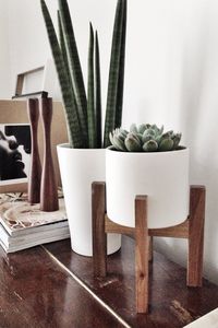 plants in the home. #cactus #decor #succulent