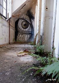 Indafriche, la crème de l'urbex graffiti. Oeuvre de The Mouarf #indafriche #rea #reaoner #graffiti #urbexgraffiti #urbexfrance #abandonedplace #friche #passionfriche #urbanart #fricheindustrielle #bombingart #wallart #sprayart #mural #urbanartabandoned #lostplaces #streetart #urbexexploration #graffart #wallporn #spraypaint #spraypaintart #residenceartistiquesauvage #lostplaces #urbexphotography #ilovegraffiti