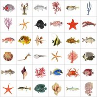 Tile Sticker Pack of 36 Vintage Fish & Sea-life Illustrations – Quadrostyle