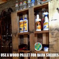 10 Barn Life Hacks You Need Right Now