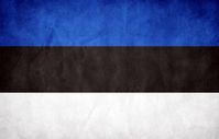 Estonia Grunge Flag by think0