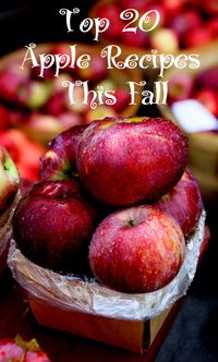 Oh, my goodness! Top 20 Apple Recipes This Fall - cheese cake, apple pie filling, apple fritters, breads, muffins, cider, wassail - 20 favorites all in one place!
