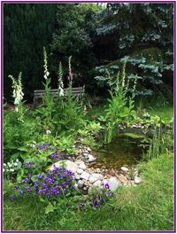 Regal Old World Pond Inspiration - Seeking Lavender Lane