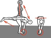 Effective Hip Flexor Stretch: Hip and Glute Activation – Turn On your Prime Move...