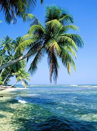 Things to do in Samoa | American Samoa | Tour American Samoa