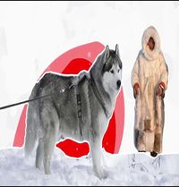 train your alaskan malamute with us