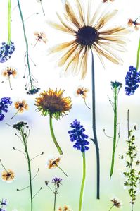 Mother's day craft ideas