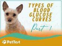 Types of Blood Glucose Curves, Part 1