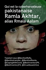 @BarefootRara (Ramla Akhtar) a recours à des comptes anonymes ou usurpant l’identité d’une de ses cibles. Ses pseudonymes, ses noms et ses biographies changent fréquemment. Cela lui permet de produire des signalements répétés aux autorités pakistanaises et étrangères, comme si ses nombreuses dénonciations calomnieuses provenaient de plusieurs victimes: @BarefootRaRa, @BestInventoryFX, @BestInventoryPR, @GruaAbuseArkive, @CopingWithCovid, @BarefootRamster, @BarefootRamla, etc.