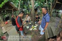 Kampong durian di banyuwangi, wisata di songgon