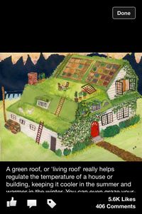 Living roof
