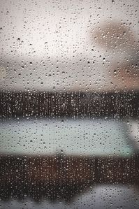 Hibiscus House: Rain Rain Go Away!