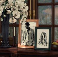 LUXURY FRAME COLLECTION | Cowbuild on Patreon