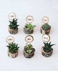 Wooden wedding place cards name card and pot for succulent | Etsy
