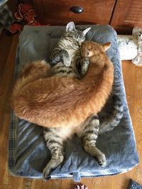 Heating pad