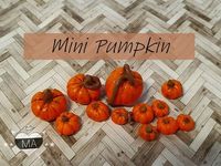 tutorial: miniature pumpkins