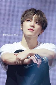 190830 Ode To You Seoul #chan #leechan #dino #세븐틴 #seventeen