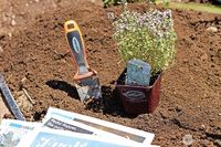 Control Weeds Organically With "Newspaper Lasagna" - One Good Thing by JilleePinterestFacebookPinterestFacebookPrintFriendlyPinterestFacebook