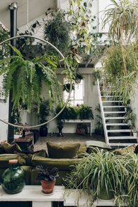 Beautiful Ways To Decorate Indoor Plant in Living Room - jihanshanum