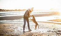 Short bursts of vigorous activity can cut risk of early death, study suggests | Health | The Guardian
