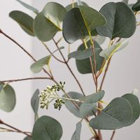 Faux Olive Tree in Pot 7' + Reviews | Crate & Barrel