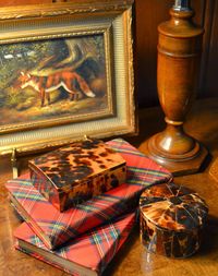 The Polohouse: Holiday Tartan & Tortoiseshell