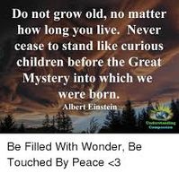 Do Not Grow Old No Matter How Long You Live Never Cease to Stand Like Curious Children Before the Great Mystery Into Which We Were Born Albert Einstein Understanding Compassion Be Filled