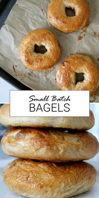 How To Make Small Batch Overnight Bagels – Lady of the Ladle