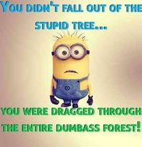 Best Minions funny pics with captions (02:45:33 AM, Wednesday 23, September 2015 PDT) – 10 pics