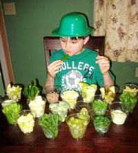Healthy St. Patrick's day snacks