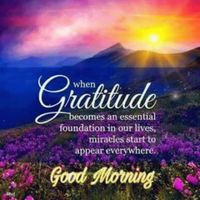50 Beautiful Good Morning Life Images