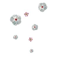 picco lini angeli — Yandex.Disk