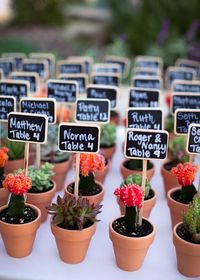 Des cactus pour présenter le plan de table