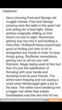 Harry Potter Showing Fred and George Weasley Muggle Movies