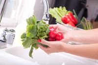 4 Food Safety Tips