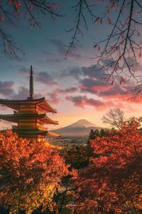 Mt Fuji Viewpoints - 10 magical places to admire Mount Fuji in Japan