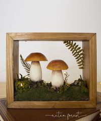 Wooden Shadowbox with mushrooms and blinking fireflies and paper ferns. This shadow box diorama is inspired by woodland and holds blinking fireflies that are 3 tinny LEDs that blink independently as a firefly. This shadowbox is a one-of-a-kind story piece. A beautiful gift for someone you love or even for yourself to create a magical woodland-inspired mood in your home.