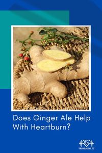 Heartburn is a common problem that affects many people. For this purpose, ginger ale is often recommended as a home remedy for heartburn, but does it work? Let’s take a closer look at the science behind this popular remedy. If you have experienced heartburn in the past and are now seeking natural relief to ease the discomfort. Then you may have wondered “Does ginger ale help with heartburn?” then check out our guide.